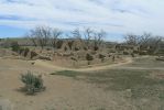 PICTURES/Aztec Ruins National Monument/t_Aztec West - Second Set of Ruins8.JPG